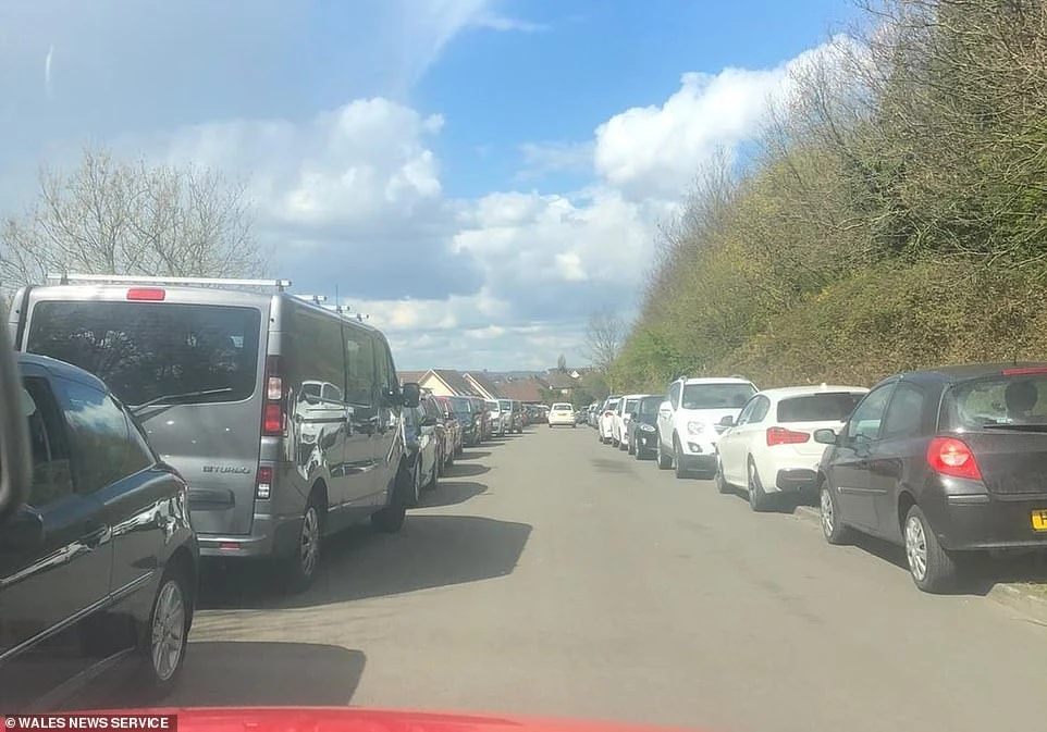 Police, councilors and local residents have now been forced to hold a series of meetings over concerns over illegal parking (pictured), abandoned litter and dog grime