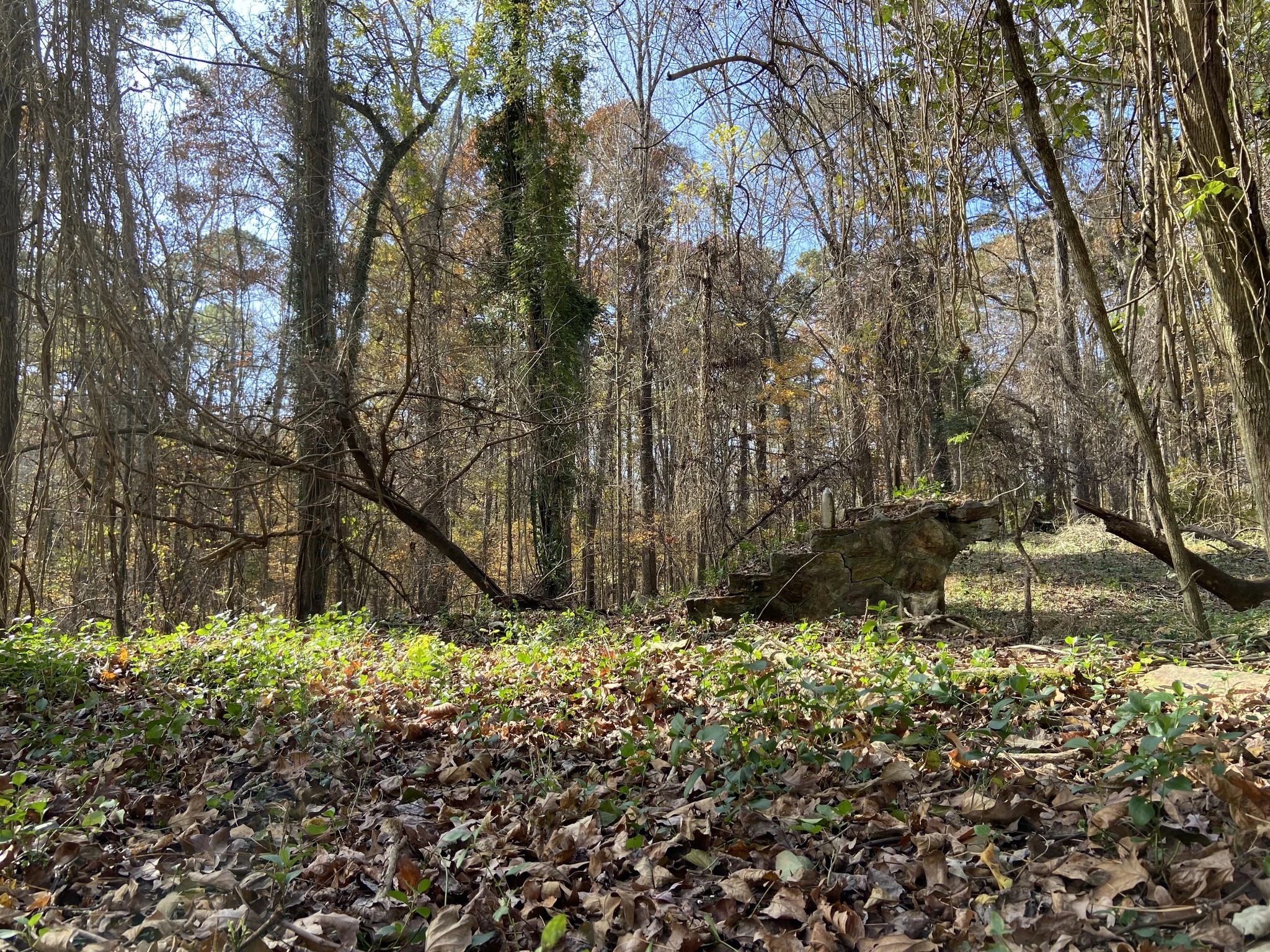 A photo of a short set of steps leading up to what was once a lodge or house