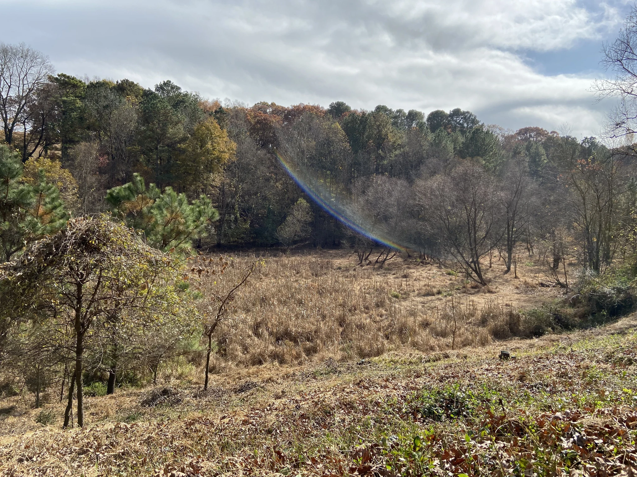 Lake Charlotte, now drained, which can become a marsh after heavy rains