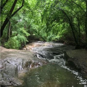 Durant Nature Reserve
