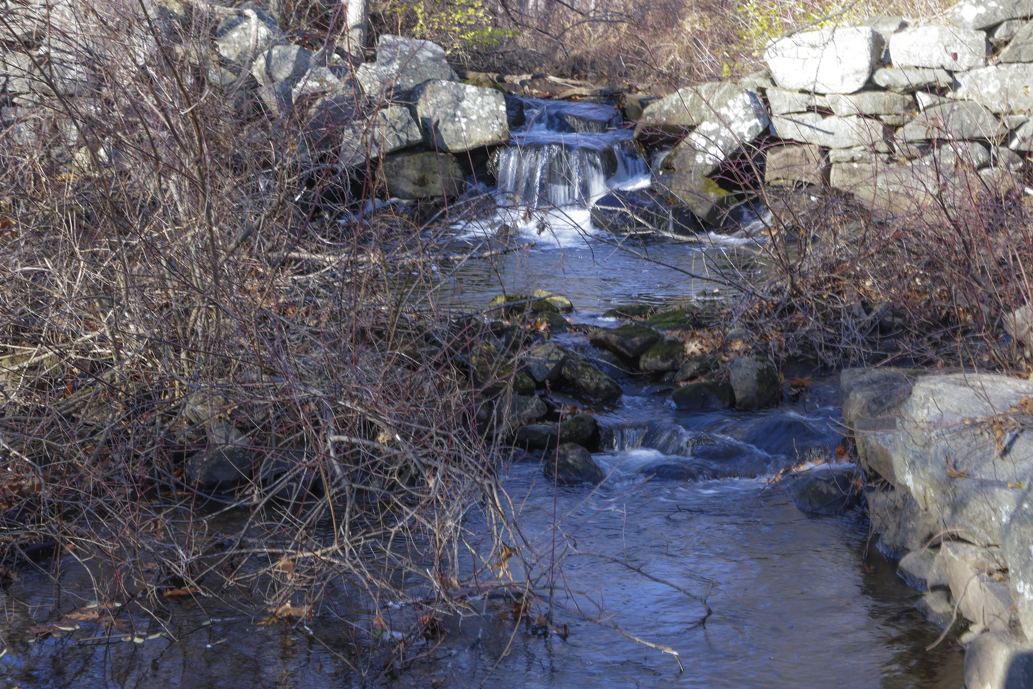 The Nature Conservancy has opened a new hiking trail in the 210-acre Moshassuck River Preserve.