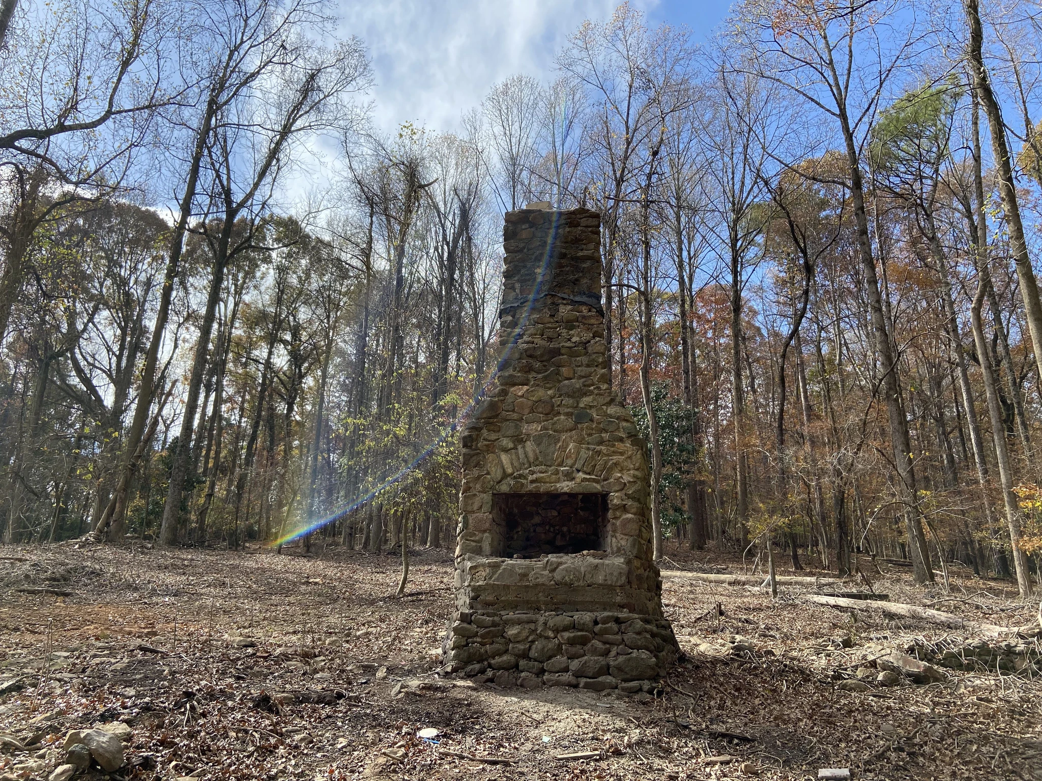 A lone stone fireplace stands in a cleared section of the woods