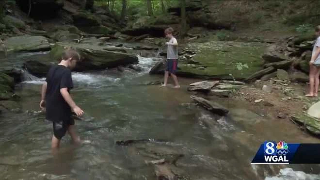 Children play climbers in the water and run in nature.
