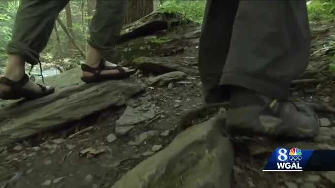 A rocky trail to Mountaineers Run Nature Preserve.