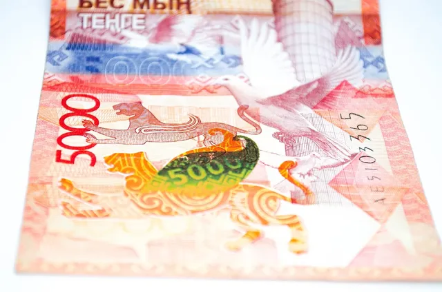 Micro loans and payday loans: differences and similarities