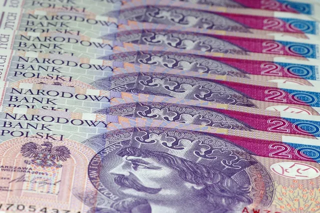 Micro loans and payday loans: what they can be used for