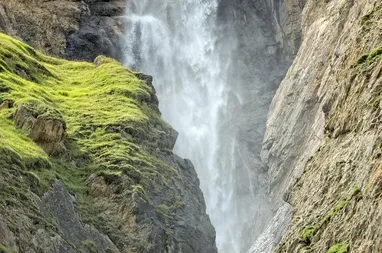 Turkey Creek Nature Reserve is full of natural beauty. (contribution)