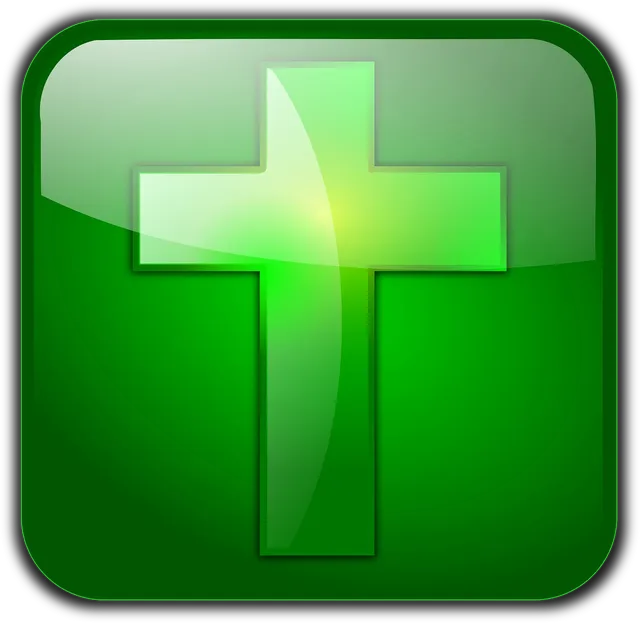 Apple App Store