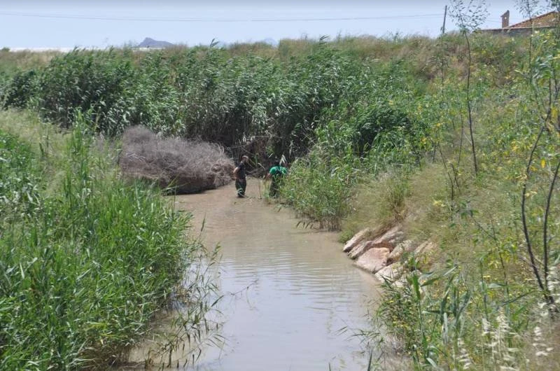 New green filters will remove 60% of Mar Menor nitrates