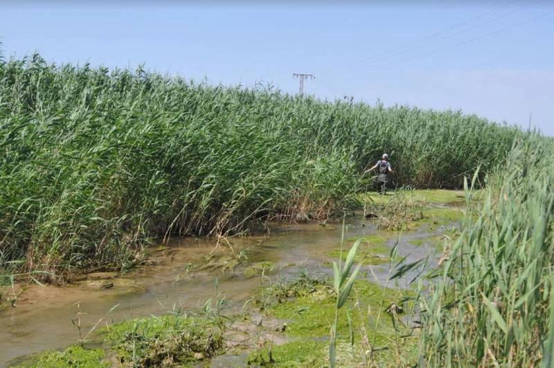 New green filters will remove 60% of Mar Menor nitrates