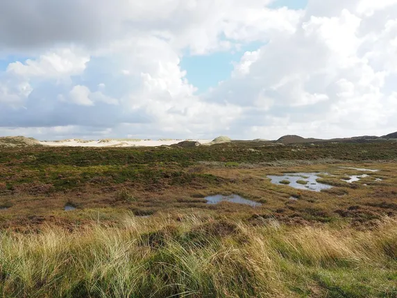 Turkey Creek Nature Reserve is a place of recreation and education. (contribution)