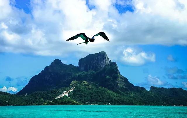 Photo credit: The Retreat at Blue Lagoon