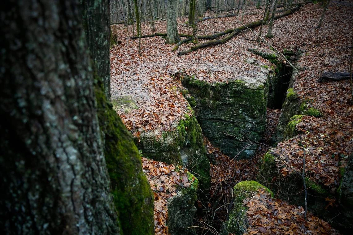 LEX_03_2012XXEG-Natureprese