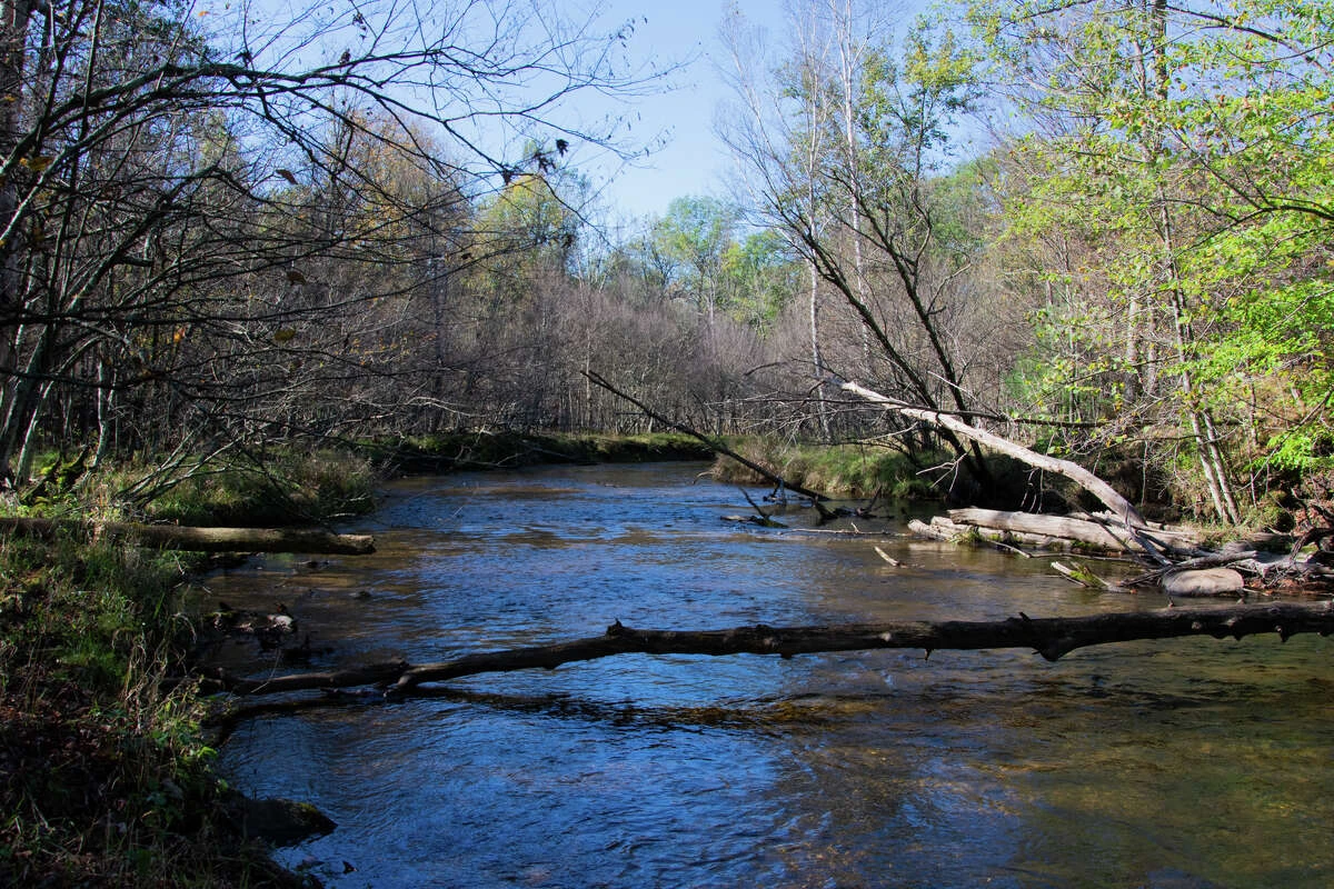 Volunteers who want to help prepare the property for public enjoyment can preview in July, according to the Land Conservancy.