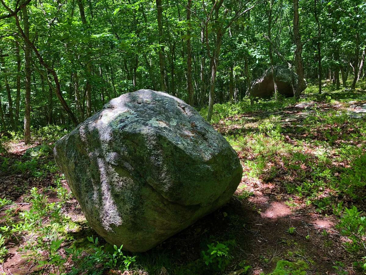 Glacial erratics dot the reserve.