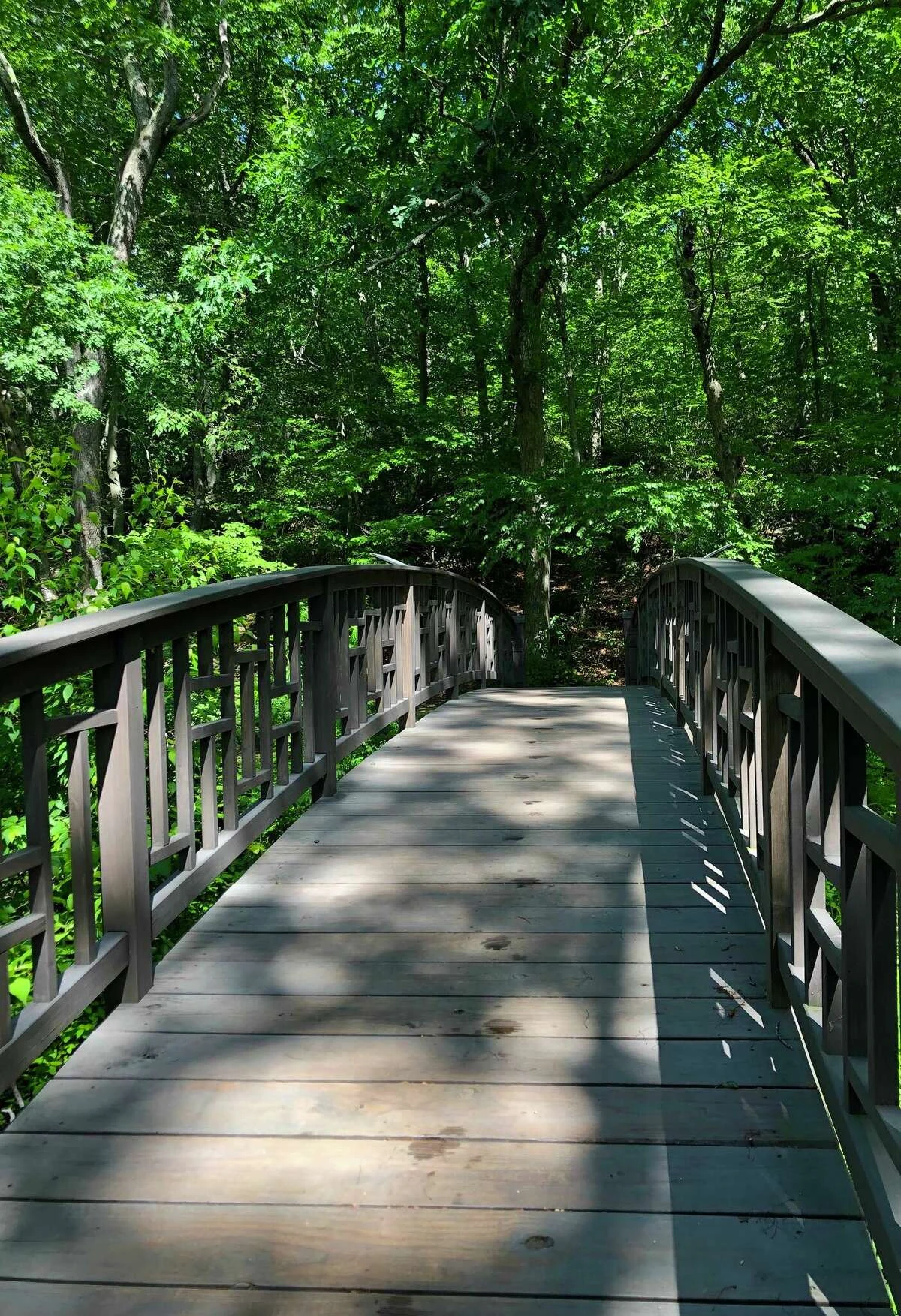 A bridge brings hikers across the south end of Clark Pond.