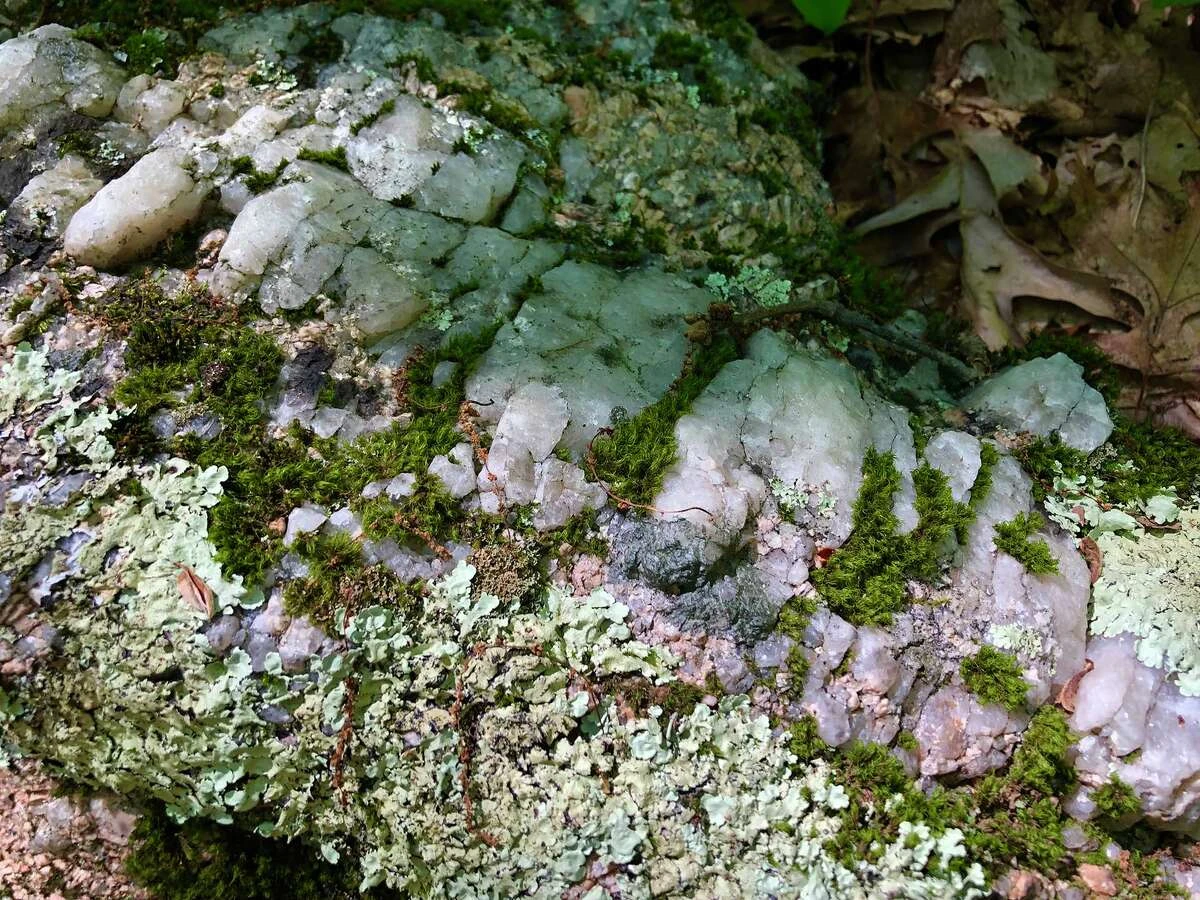 A white quartz pit is found along the blue trail.