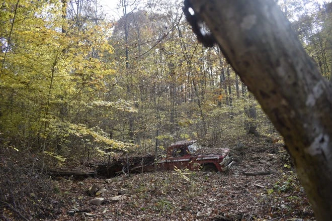 It's easy to miss that old bogged down truck in Green's Bluff.