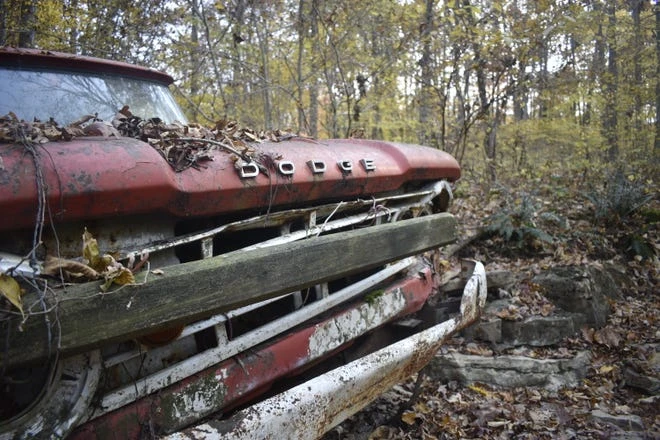 This old Dodge truck isn't going anywhere.