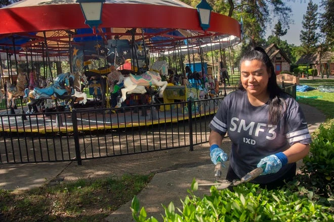Volunteer Verenice Magana trims a hedge at Pixie Woods in Stockton on April 9, 2022. Volunteers gathered to clear vegetation, plant flowers and paint as part of a clean-up day in preparation for the season opener of the beloved children's fantasy park on May 7.