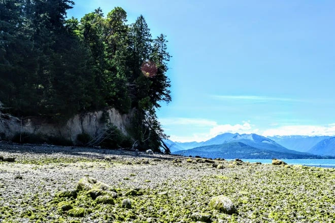 Misery Point Reserve in Seabeck is open to the public, and a celebration and ribbon cutting will take place on Saturday. Visitors can come on foot or by kayak.