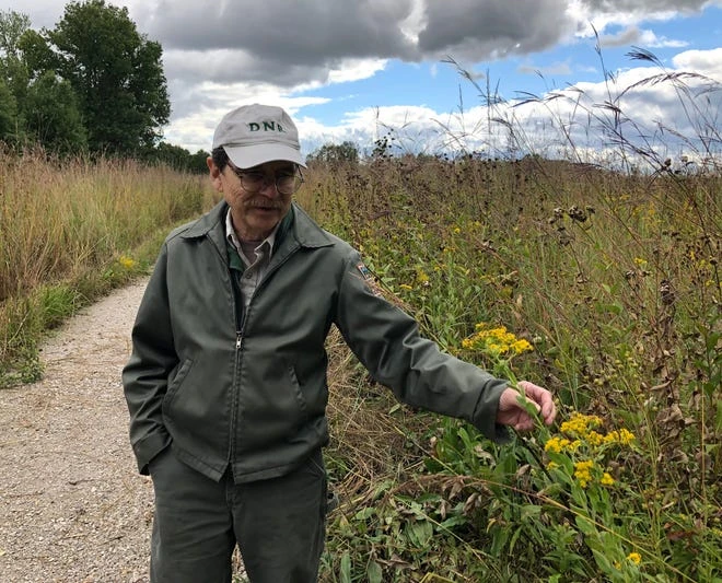 Indiana Department of Natural Resources regional ecologist Rich Dunbar points out steep goldenrod along the prairie at the Elkhart Bog Nature Preserve.