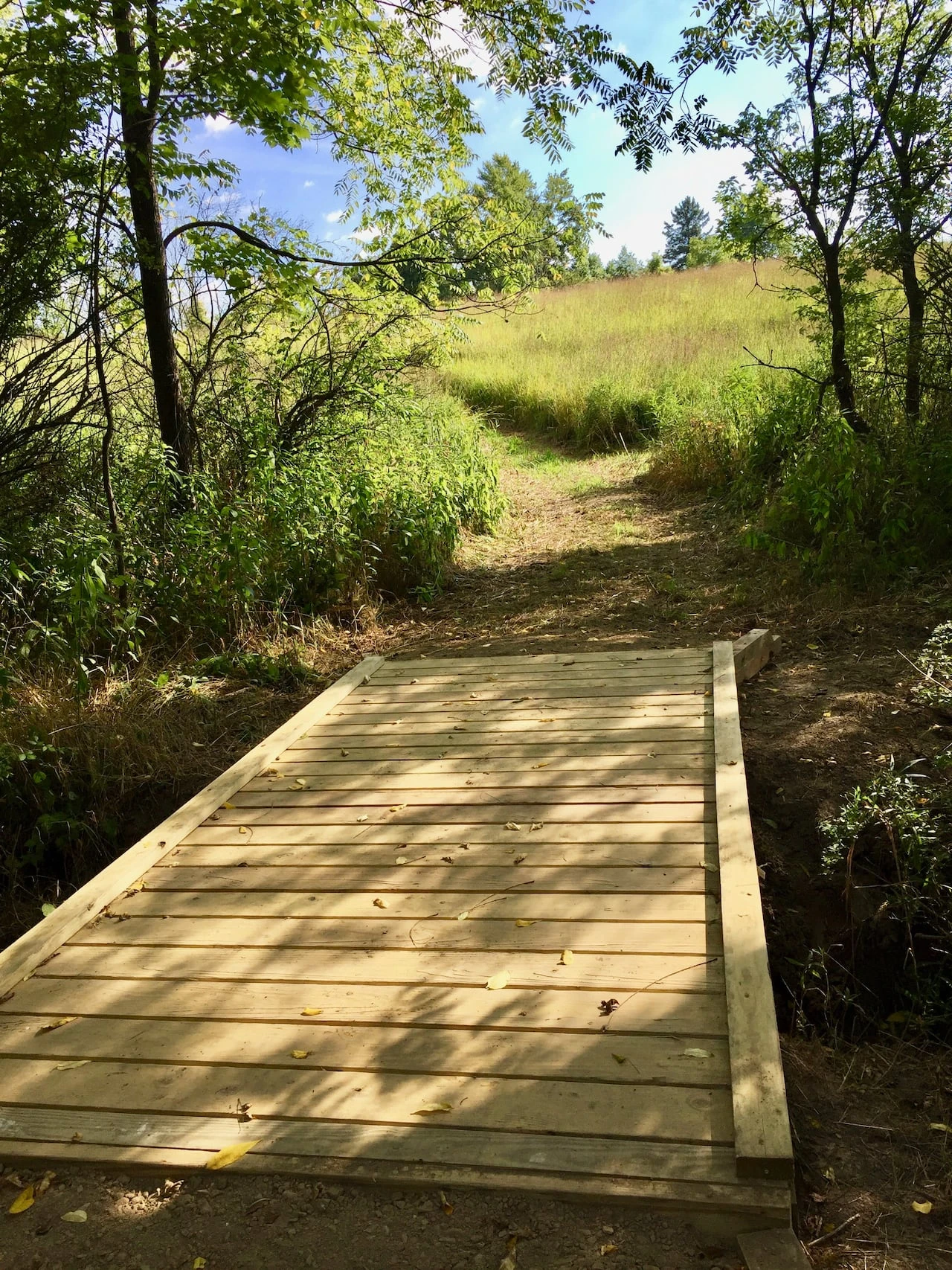 Wooden walkway at Bluebell Valley Nature Preserve