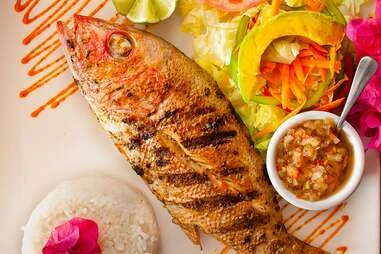 fresh fish