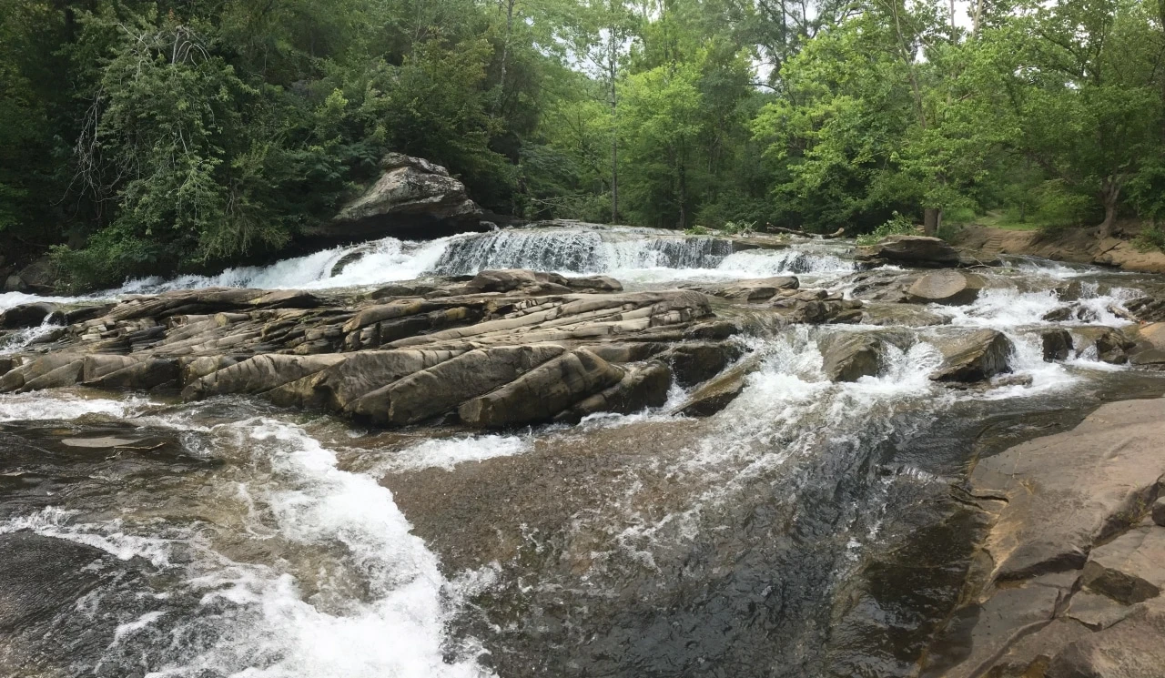 Turkey Creek Nature Preserve, Southern Environmental Center offering outdoor education programs in fall 1 Birmingham Alabama