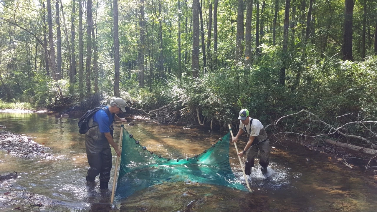 Freshwater Land Trust