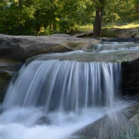 Turkey Creek Nature Reserve is full of natural beauty. (contribution)