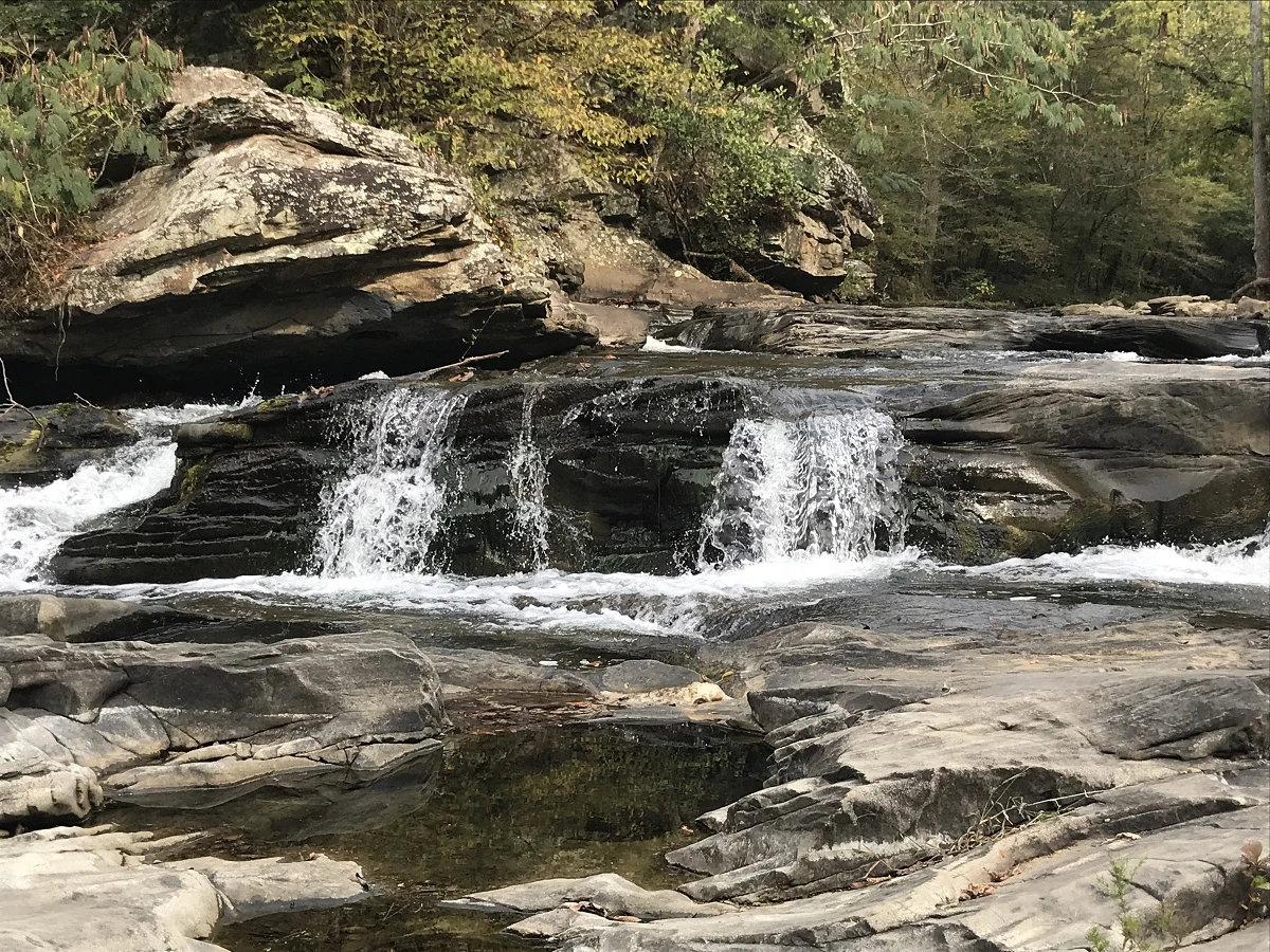 Turkey Creek Nature Reserve is full of natural beauty. (contribution)