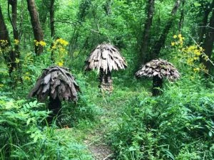Forest mushroom by MF Goods i.e. Alice Lim and Eddie Farr