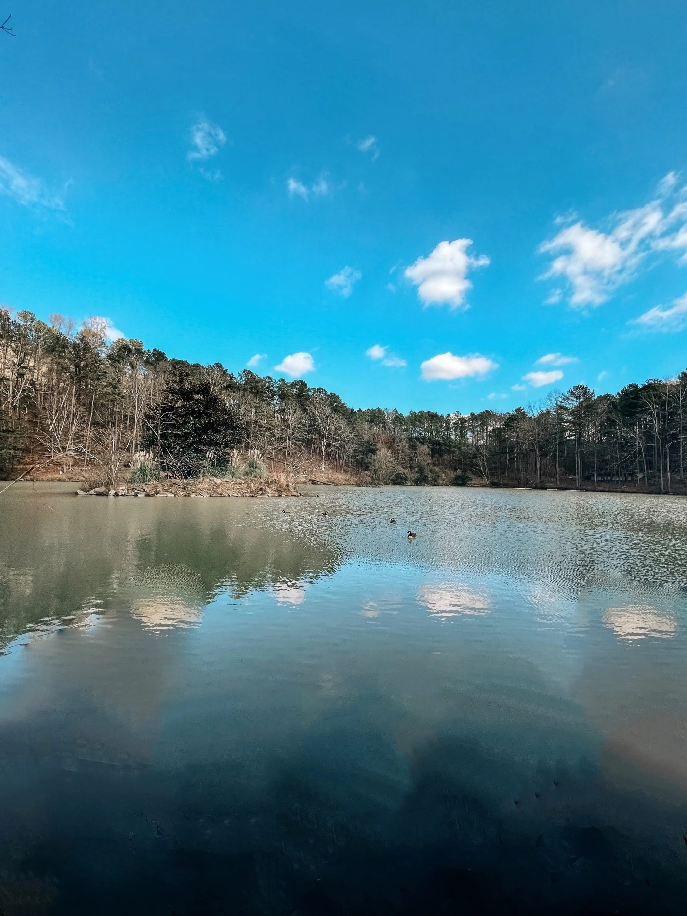 The cove