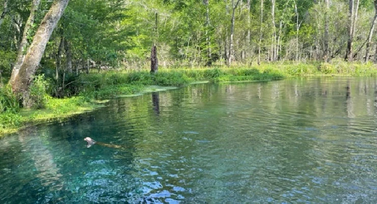 blue hole spring