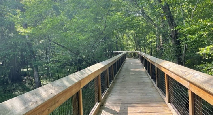 Boardwalk trail to Blue Hole Spring
