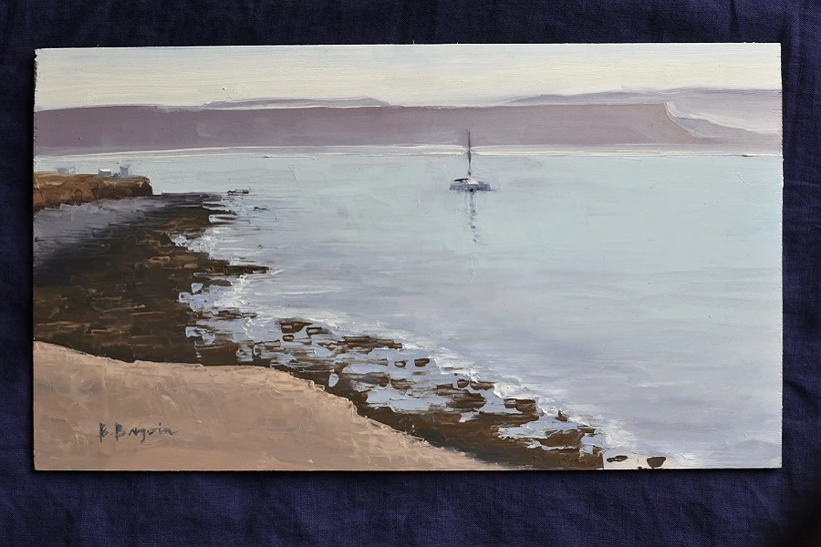 Wildcoast Art Ambassador Painting