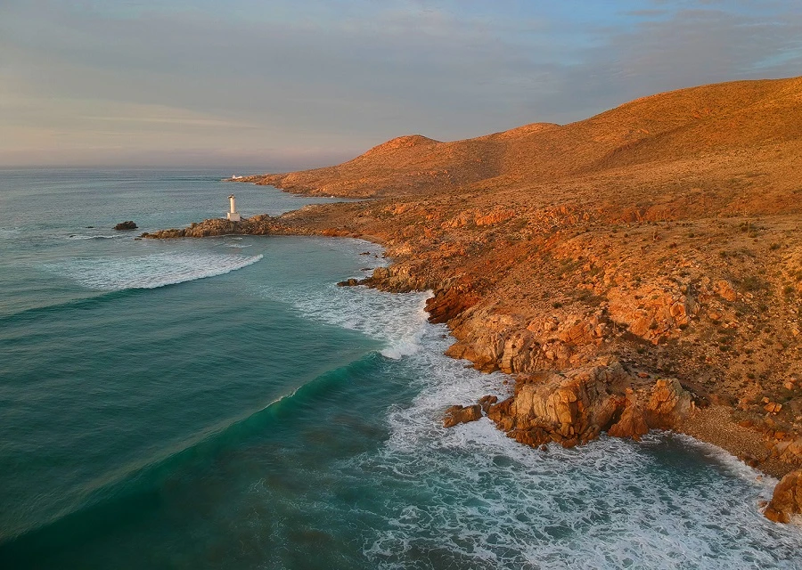 Protection of wild oceans